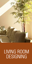 Living Room Designing